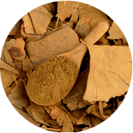 Ginkgo biloba Leaf Extract 50:1 