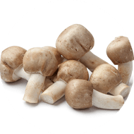 Organic Almond Portobello Mushroom Extract 10:1