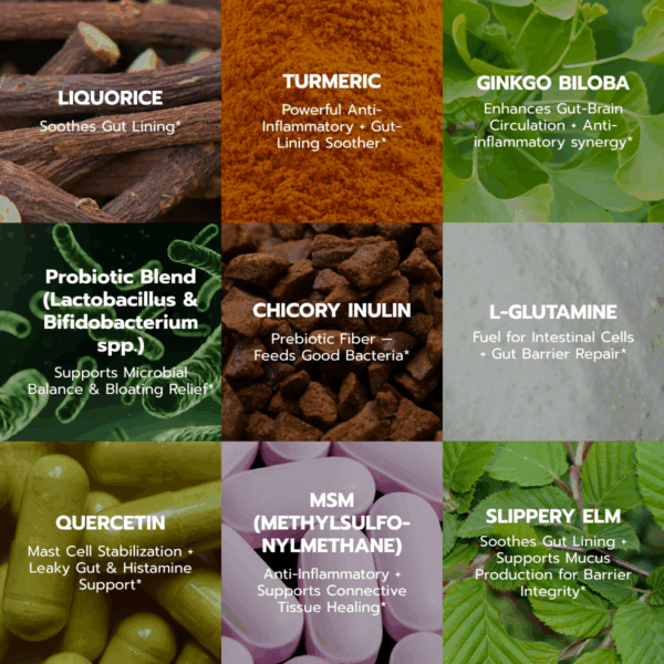 Glorious Gut Drink - 300 grams Powder - Image 4