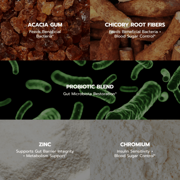 Probiotic Complex - 120 Capsules - Image 4