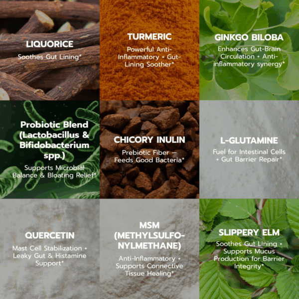 Glorious Gut Drink - 300 grams Powder - Image 4