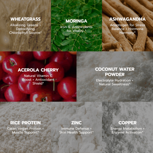 Sweet Green Juice - Coconut - 300 gram Powder - Image 4