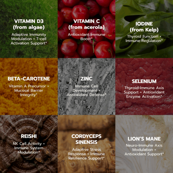 Immunity Support - 300 grams Powder - Image 4