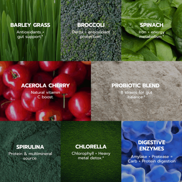 Green Juice “99% Green”- 300 gram Powder - Image 4