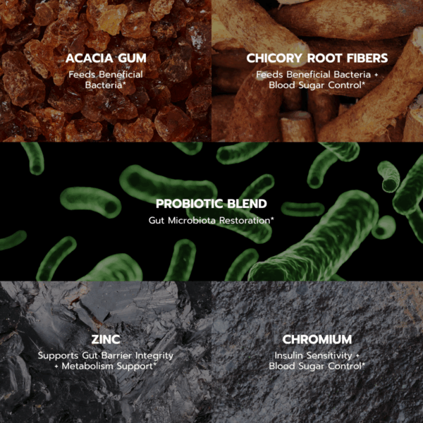 Probiotic Complex - 120 Capsules - Image 4