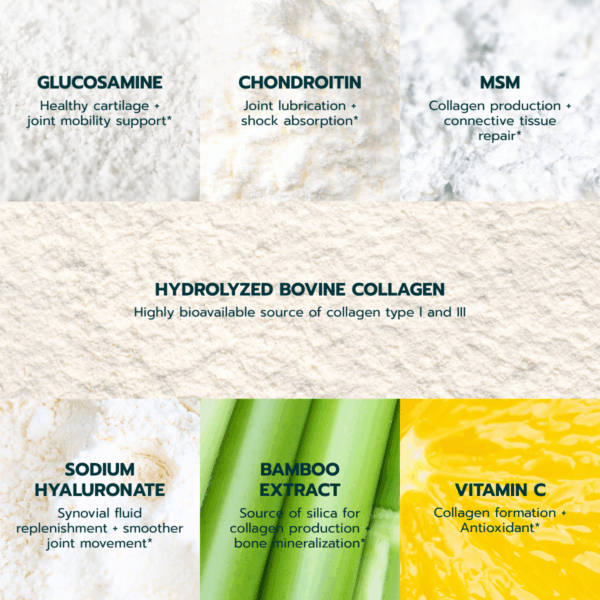 Collagen++ for Joints – 250 gram Powder - Image 5
