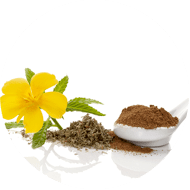 Damiana Extract 10:1