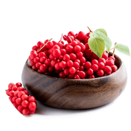 Schisandra Chinensis Extract