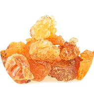 Boswellia Serrata Extract