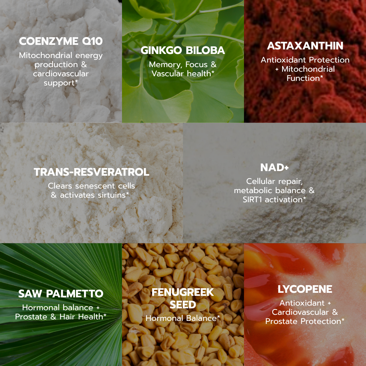 Longevity Master for Men – 60 Capsules - Image 4