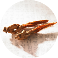 Red Ginseng Extract