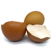 Eggshell Membrane Powder