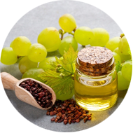 Grape Seed Extract
