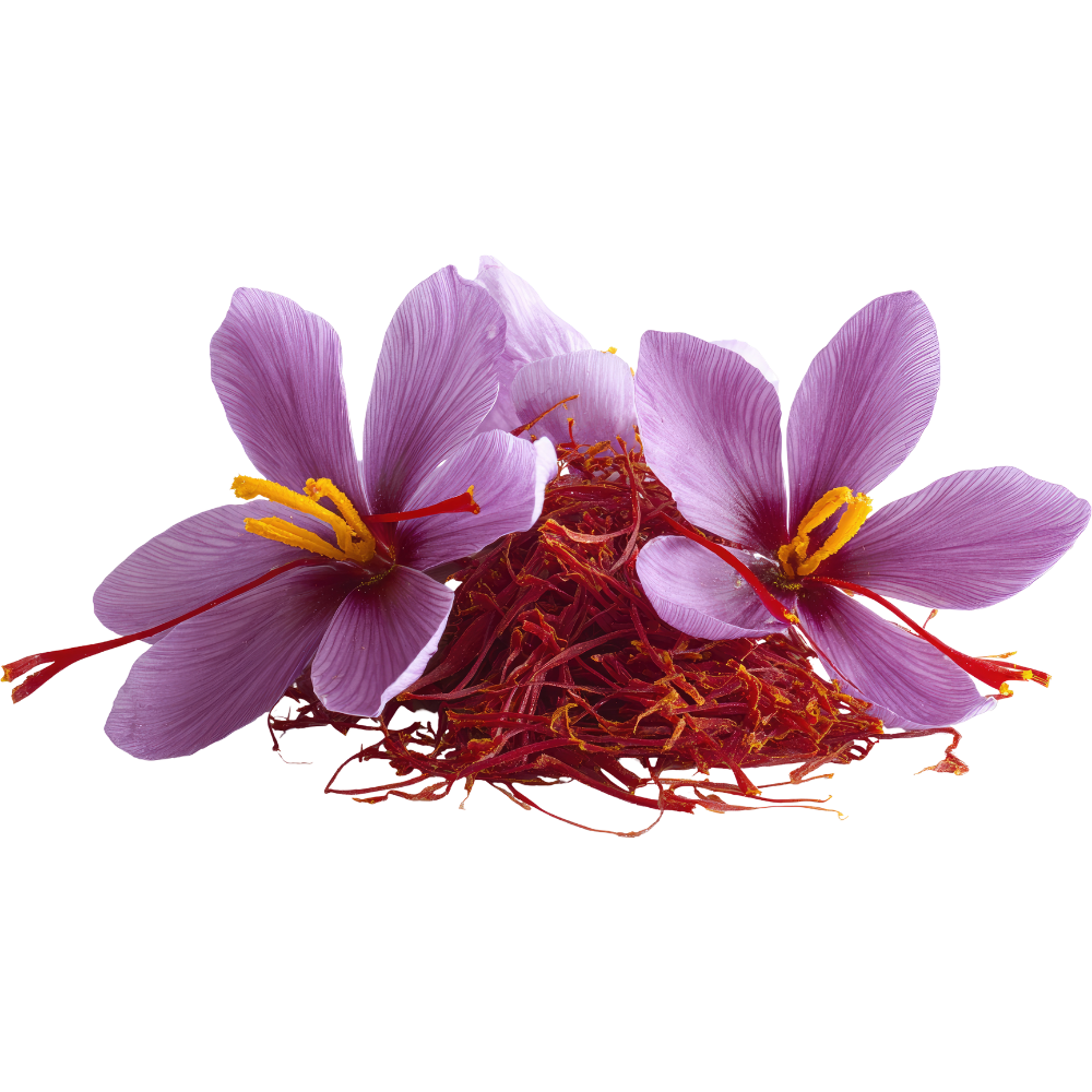 Saffron Extract